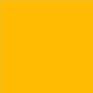 Oracal 651 - 020 Golden Yellow