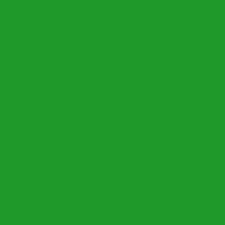 ORACAL 651- 064 YELLOW GREEN
