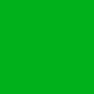 Oracal 651 - 062 Light Green