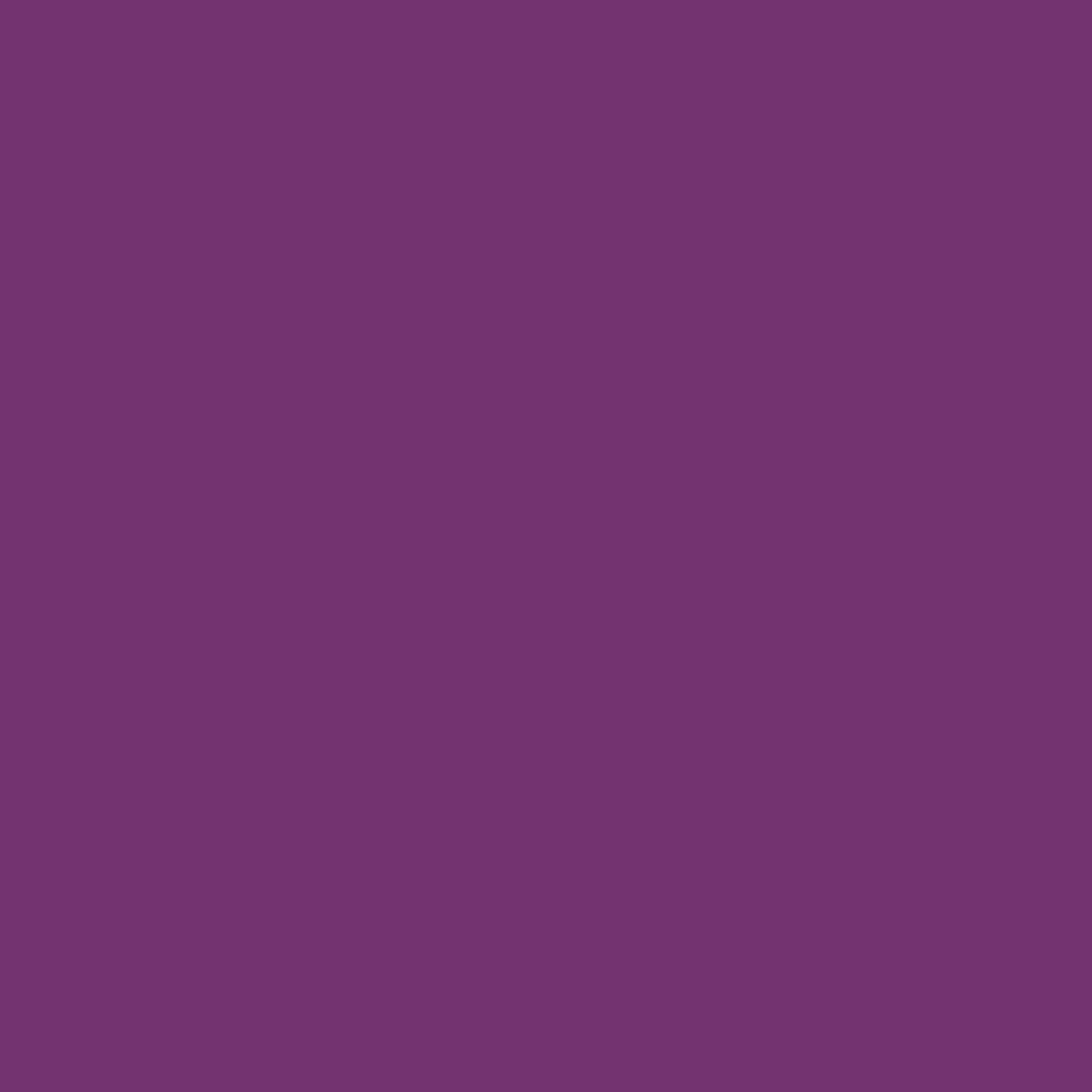 Oracal 651 - 040 Violet