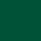 Oracal 651 - 613 Forest Green